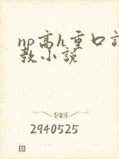 np高h重口调教小说