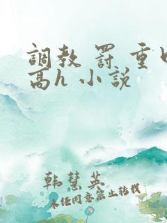 调教 罚 重口高h 小说