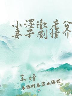 小泽彻老公原谅妻子剧情介绍妻