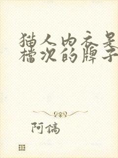 猫人内衣是什么档次的牌子