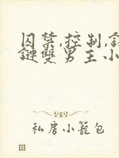 囚禁,控制,铁链双男主小说