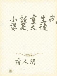 小说重生我的老婆是天后