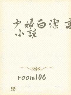 少妇白洁 高义 小说