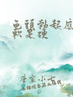 龟头勃起应该是软是硬