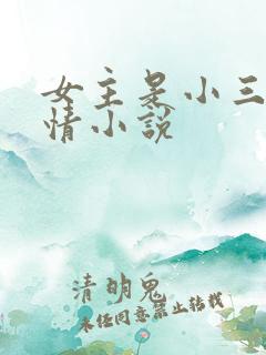 女主是小三的言情小说