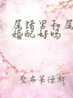 属猪男和属蛇女婚配好吗