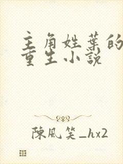 主角姓叶的末世重生小说