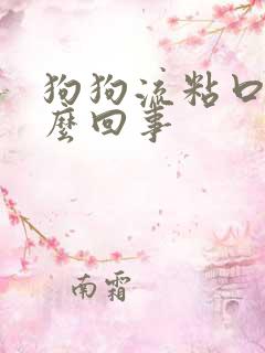 狗狗流粘口水怎么回事