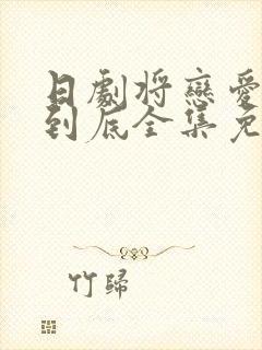 日剧将恋爱进行到底全集免费