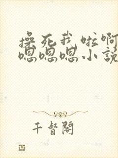 操死我啦啊啊啊嗯嗯嗯小说