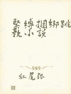 紧缚捆绑跳蛋调教小说