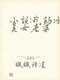 小说:我的冰山美女老婆