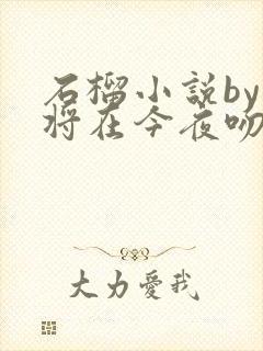 石榴小说by我将在今夜吻你免费阅读