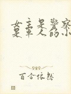 女主是警察男主是军人的小说