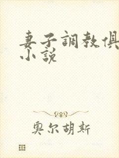 妻子调教俱乐部小说