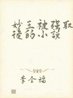 妙玉被强取豪夺后的小说