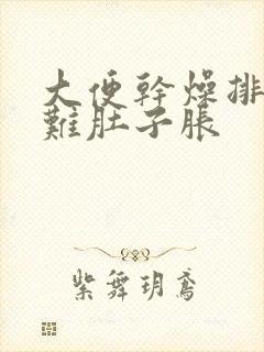 大便干燥排便困难肚子胀