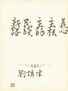 新民主主义革命路线的核心是( ).