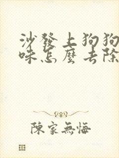 沙发上狗狗尿骚味怎么去除