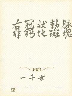 右冠状动脉中段非钙化斑块,管腔中度狭窄