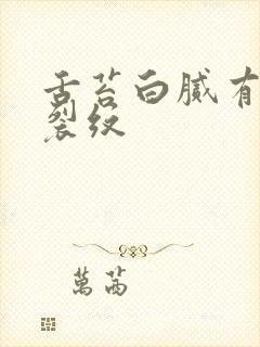 舌苔白腻有齿痕裂纹