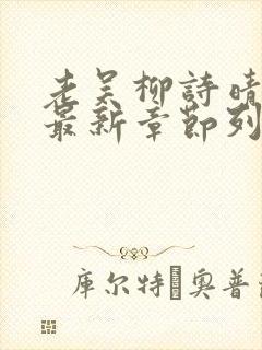 老吴柳诗晴小说最新章节列表