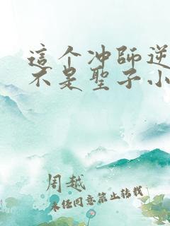 这个冲师逆徒才不是圣子小说