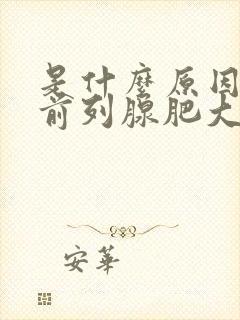 是什么原因引起前列腺肥大