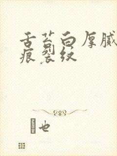 舌苔白厚腻有齿痕裂纹