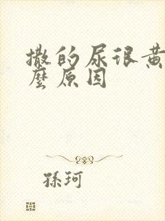 撒的尿很黄是什么原因