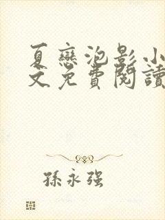 夏恋泡影小说全文免费阅读最新章节