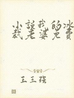 小说我的冰山总裁老婆免费看