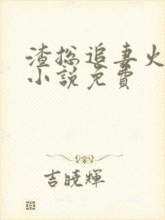 渣总追妻火葬场小说免费