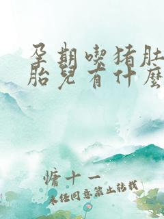 孕期吃猪肚子对胎儿有什么好处