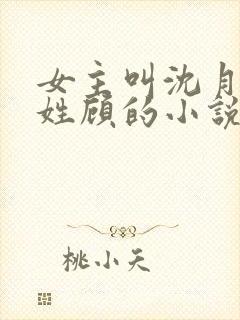 女主叫沈月男主姓顾的小说