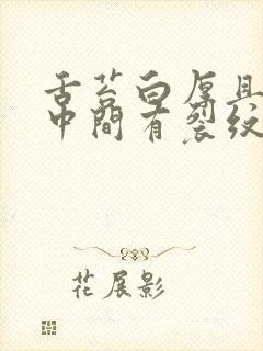 舌苔白厚且前面中间有裂纹