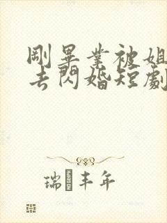 刚毕业被姐姐拉去闪婚短剧免费