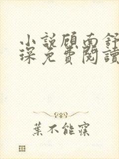 小说顾南舒陆景琛免费阅读