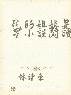 我的姐姐是大明星小说阅读免费