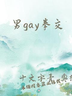 男gay拳交