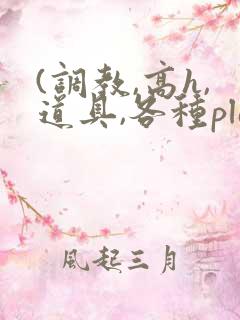 (调教,高h,道具,各种play)文