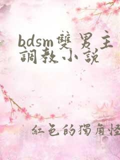 bdsm双男主调教小说