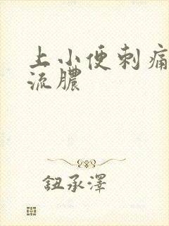 上小便刺痛有血流脓