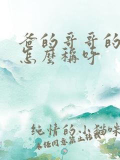 爸的哥哥的老婆怎么称呼