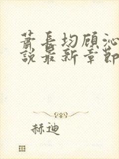 萧长均顾沁儿小说最新章节免费阅读