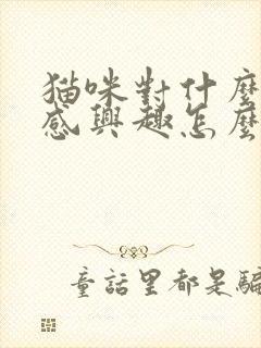 猫咪对什么都不感兴趣怎么回事