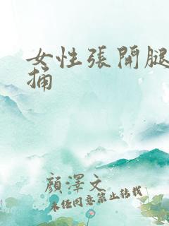 女性张开腿让人捅