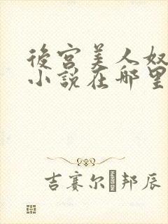 后宫美人奴原著小说在哪里看