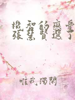 机智的恋爱综艺张慧贤选了谁