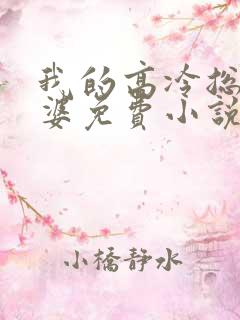 我的高冷总裁老婆免费小说